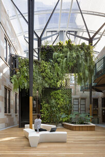 Hassell | Global Change Institute