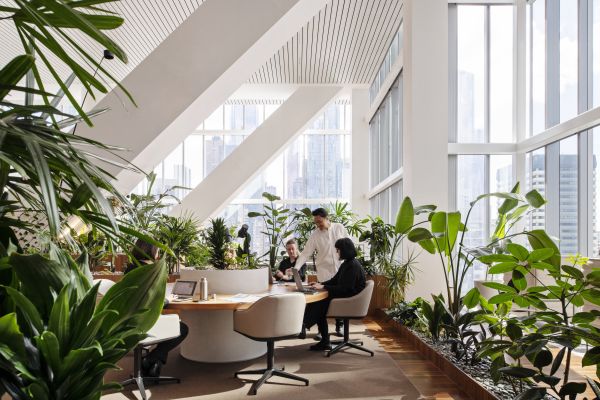 Hassell | From Office to Oasis: how landlords and developers can transform  workplaces with green spaces